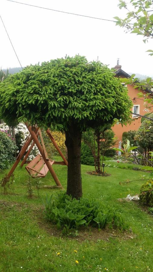 Noclegi U Andrzeja Duszniki Zdroj Ngoại thất bức ảnh