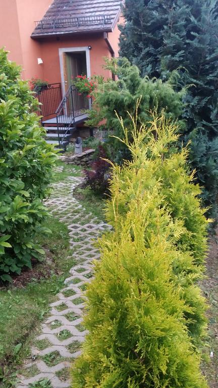 Noclegi U Andrzeja Duszniki Zdroj Ngoại thất bức ảnh